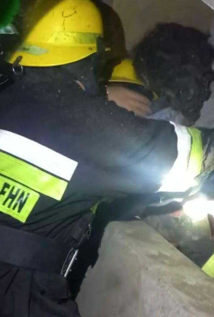 В Билясуваре спасли одного человека из под завалов