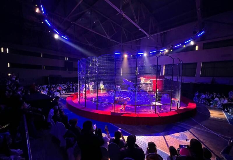 В Гяндже представлено захватывающее международное цирковое шоу DZİVA