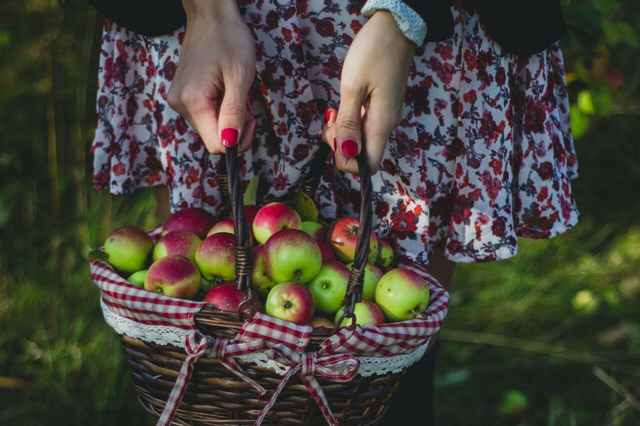 Коварный фрукт: какие яблоки самые полезные, а какие нельзя есть каждый день