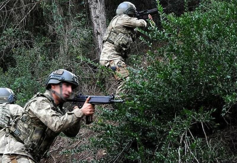 МВД Турции объявило об успешной ликвидации террористов в Ширнаке