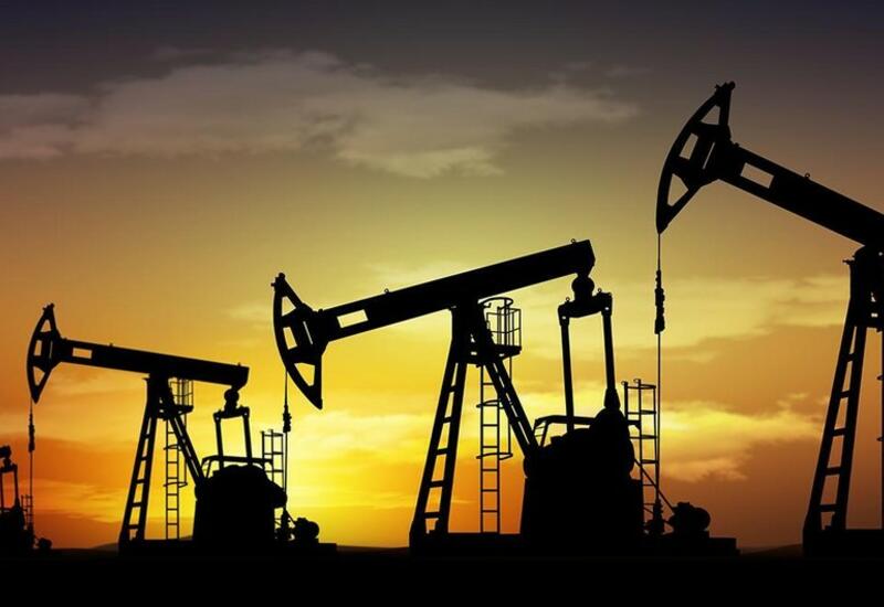 Как изменилась стоимость азербайджанской нефти за сутки?