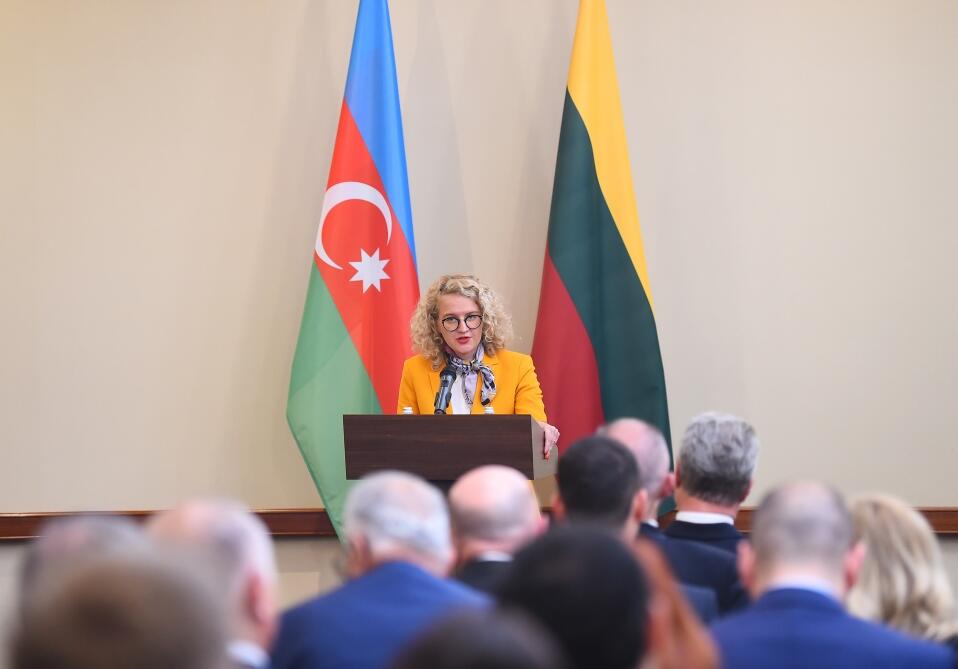 В Вильнюсе с участием Президента Ильхама Алиева и Президента Гитанаса Науседы состоялся азербайджано-литовский бизнес-форум