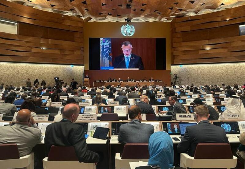 Азербайджан призывает к солидарности в усилиях по борьбе с пандемией на Всемирной ассамблее здравоохранения