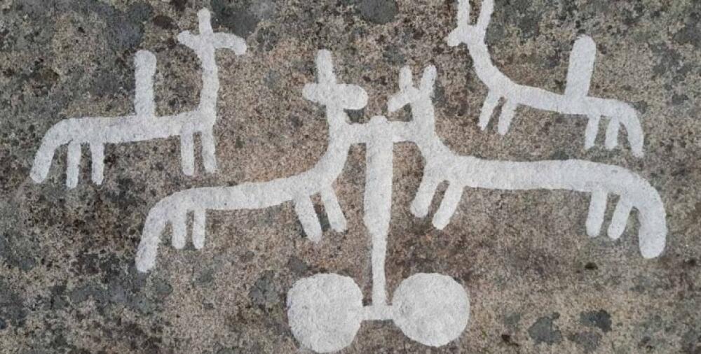 В Швеции обнаружили десятки наскальных рисунков бронзового века