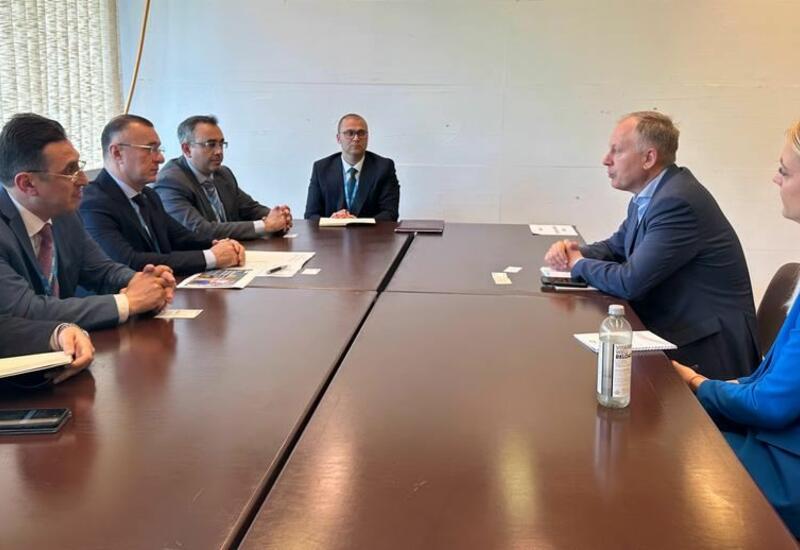В рамках сессии ВОЗ делегация Азербайджана провела ряд встреч