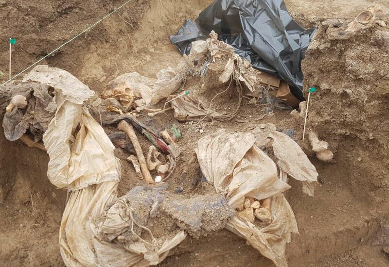 Завершается экспертиза человеческих останков, обнаруженных в Эдилли