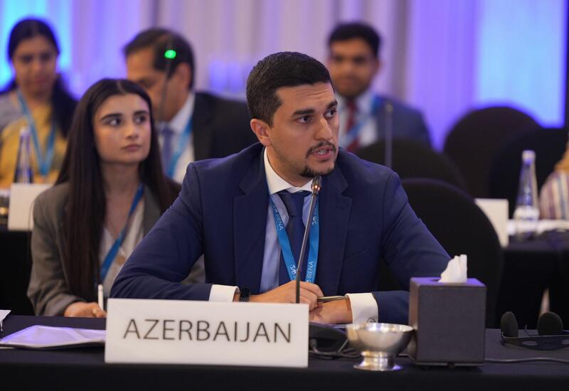Делегация Азербайджана приняла участие в заседании Совета IRENA