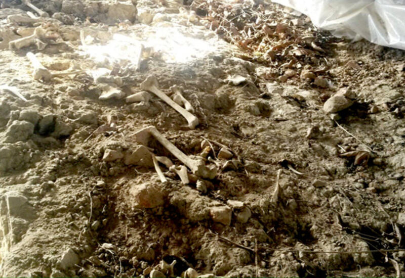 Начаты поиски останков пропавших без вести в Зангилане и Джебраиле после 1-й Карабахской войны