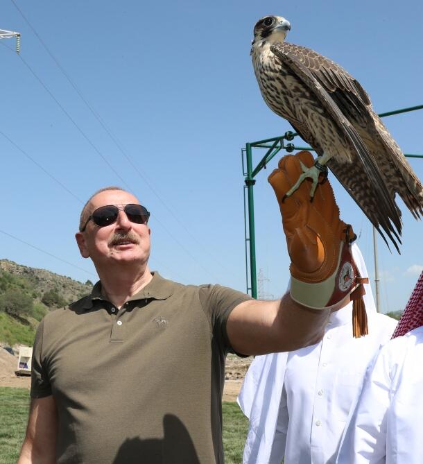 Президент Ильхам Алиев принял участие в церемонии выпуска в природу на территории Лачинского района восточно-кавказских туров и соколов, а в реку Хакари – различных видов рыб