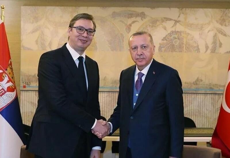 Президент Сербии запросил помощь у Эрдогана