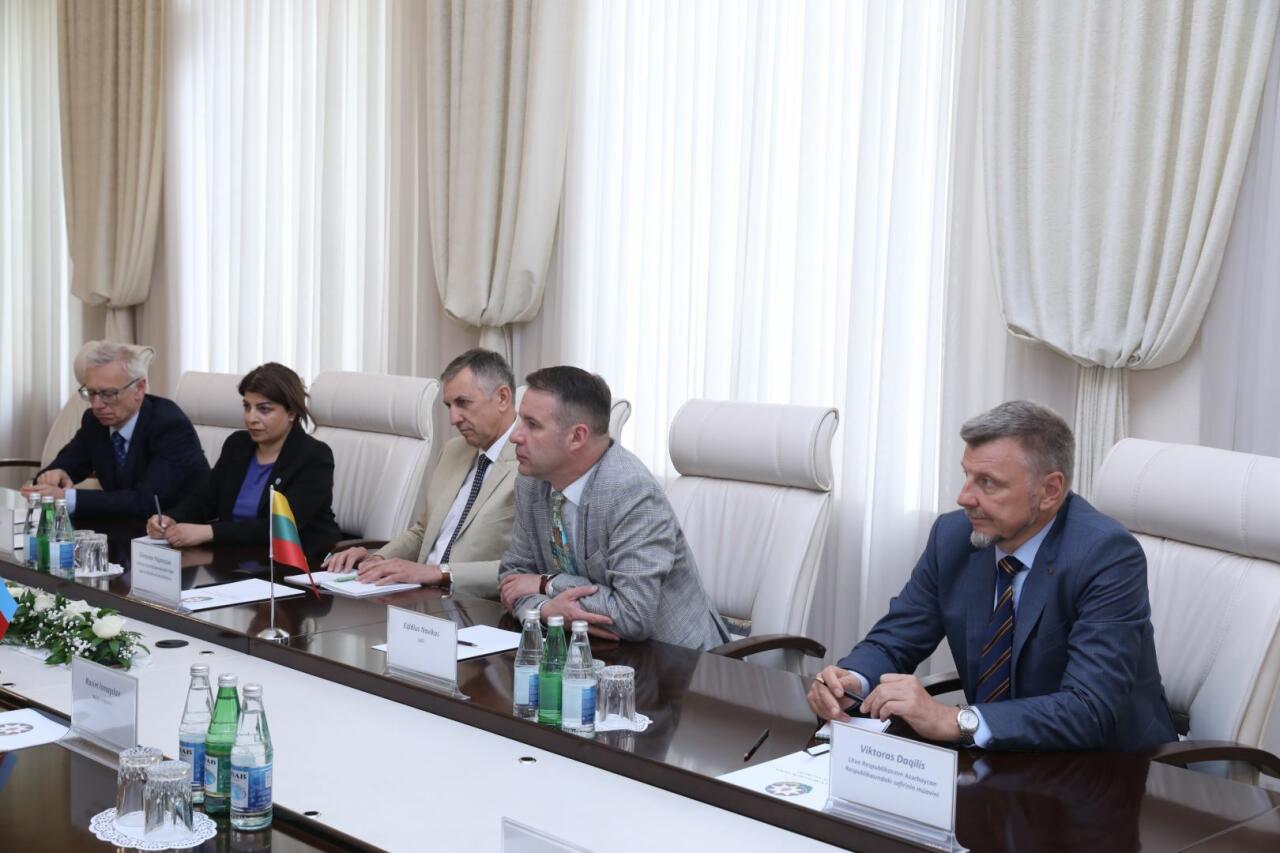 Теймур Мусаев встретился с гендиректором Государственного фонда медицинского страхования Литвы