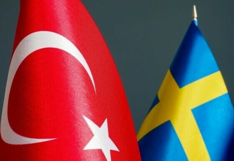 Когда Турция одобрит заявку Швеции на вступление в НАТО?
