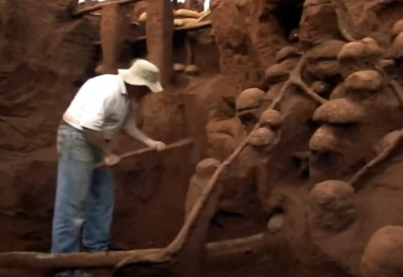 Ученые залили в пустой муравейник цемент и обнаружили внутри целый «мегаполис»