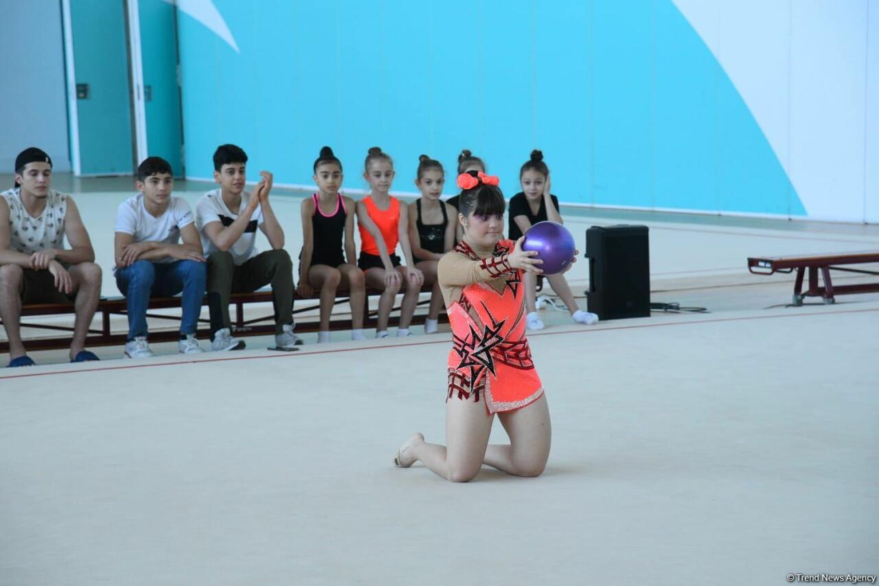 Азербайджан будет представлен в соревнованиях по художественной гимнастике на Всемирных летних играх Специальной Олимпиады в Берлине