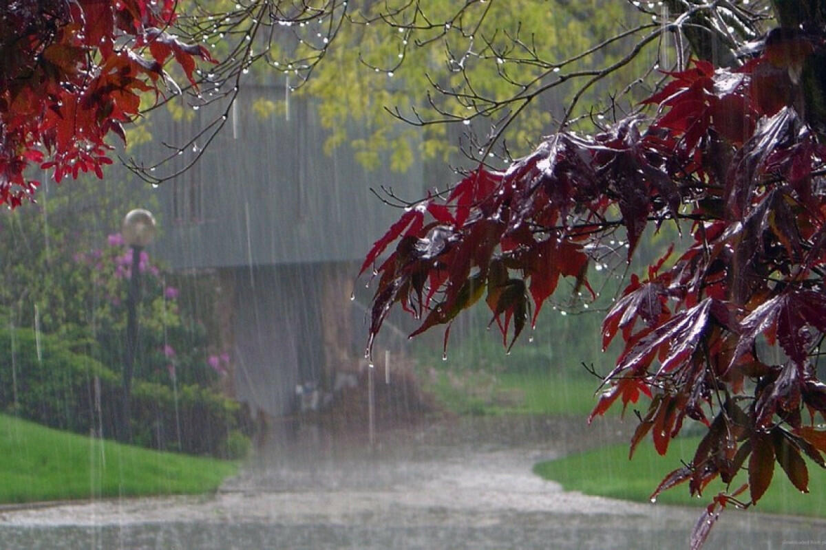 В западном регионе Азербайджана идут проливные дожди