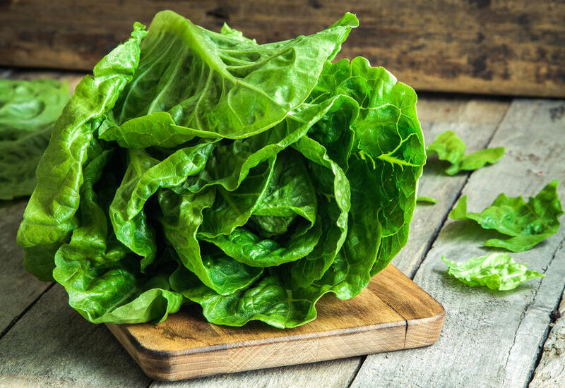 Как сохранить зеленый салат в холодильнике до 14 дней?