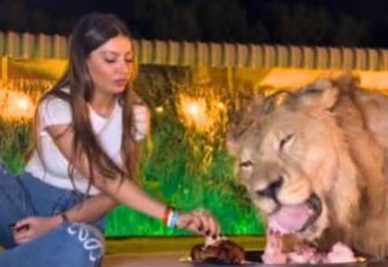Женщина поела с одной тарелки со львом и напугала пользователей сети