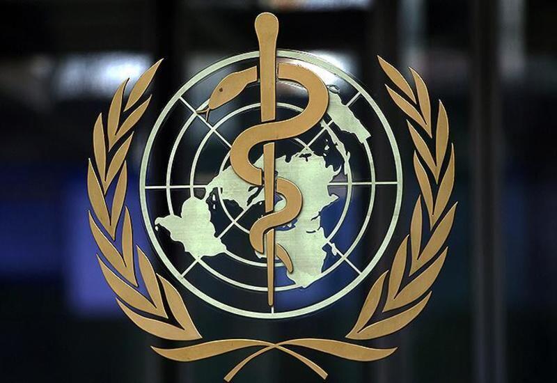 ВОЗ заявила о высоком риске распространения лихорадки денге в Иране