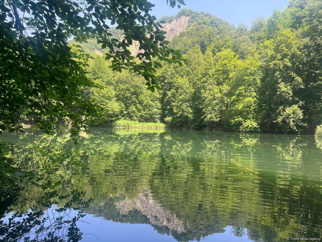 Уникальное творение природы