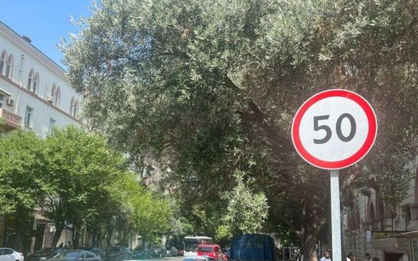 Изменен скоростной лимит на одном из проспектов Баку