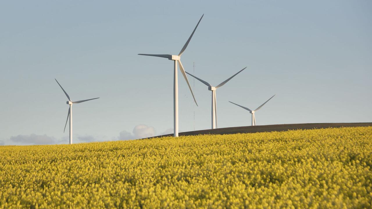 В Британии не смогли найти компании для строительства ветряных электростанций