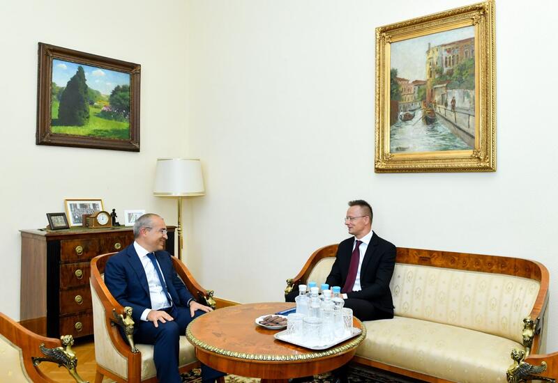 Азербайджан и Венгрия обсудили возможности партнерства по проектам "зеленой" энергетики