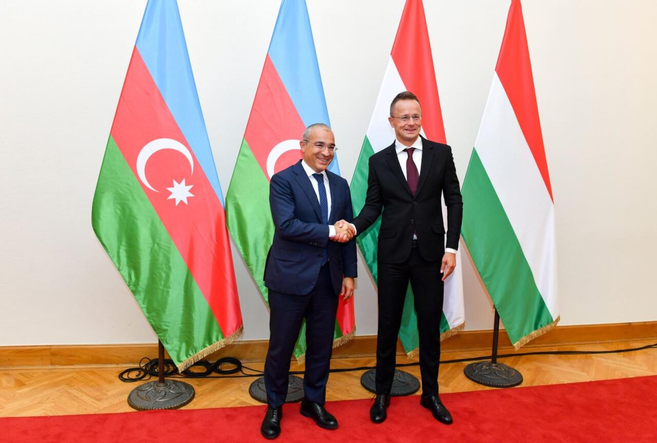 Азербайджан и Венгрия обсудили возможности партнерства по проектам "зеленой" энергетики