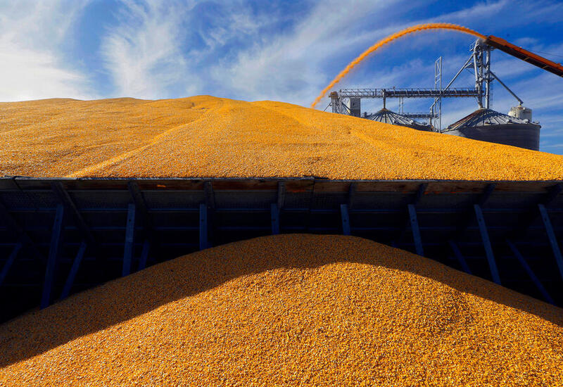 В МККК рассказали, какого решения организация ожидает по зерновой сделке