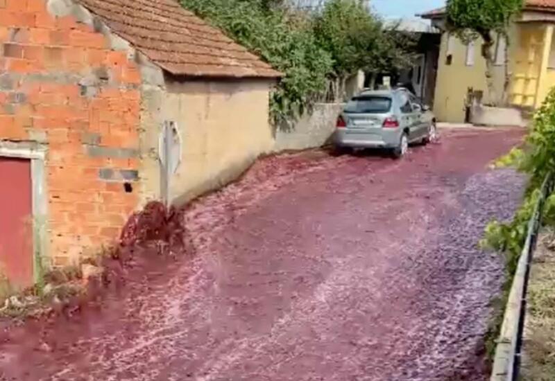 По португальским улицам течет река красного вина