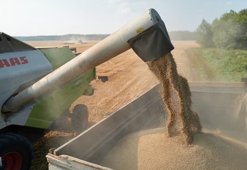 Румыния пригрозила возобновить запрет на ввоз украинского зерна