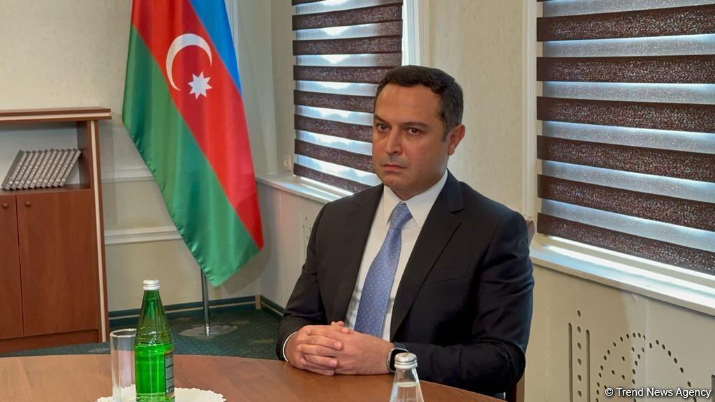 На встрече в Евлахе только флаг Азербайджана
