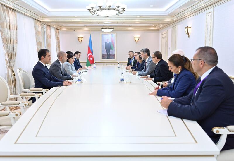 Сахиба Гафарова приняла делегацию Турции в АПА