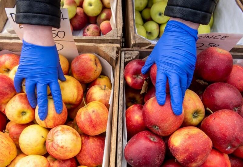 В Польше заявили, что запрет Украиной ввоза овощей и фруктов не скажется на экономике