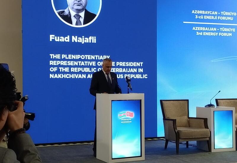 Fuad Nəcəfli Naxçıvanda alternativ enerji ilə bağlı hədəfi açıqladı