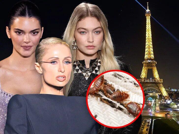 Звезды после Недели моды в Париже случайно ввезли в США клопов
