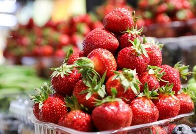 Врачи назвали снижающую риск развития деменции ягоду