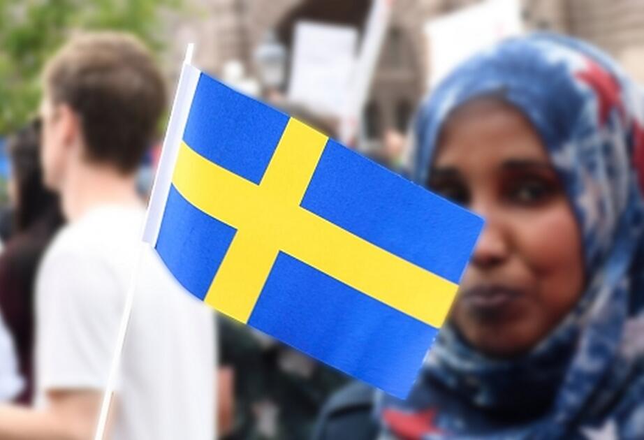 Правительство Швеции расследует рост обратной миграции