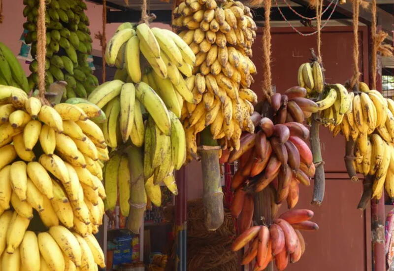 Зеленые vs созревшие: когда надо есть бананы на самом деле