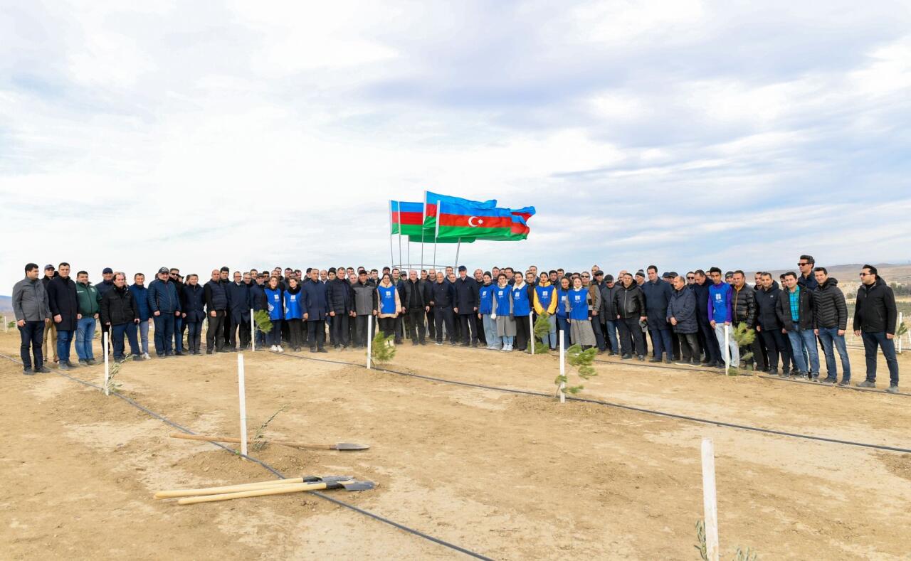 В связи со 100-летием великого лидера Гейдара Алиева состоялась акция по посадке деревьев