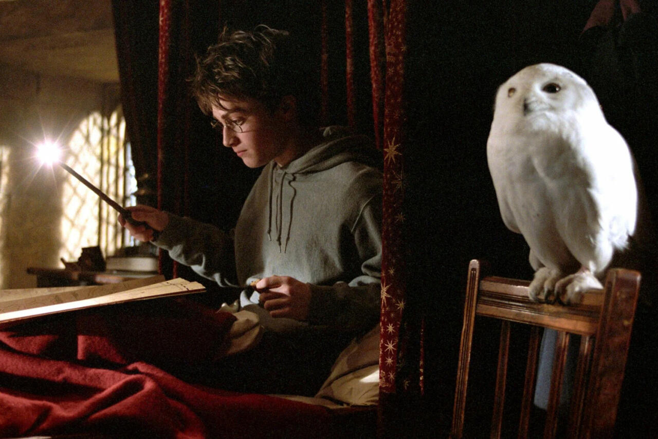 Фанаты Гарри Поттера нашли «пасхалку» в титрах фильмов поттерианы