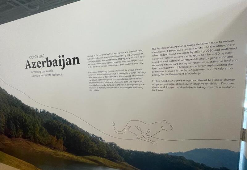 Азербайджан впервые представлен павильоном на COP28