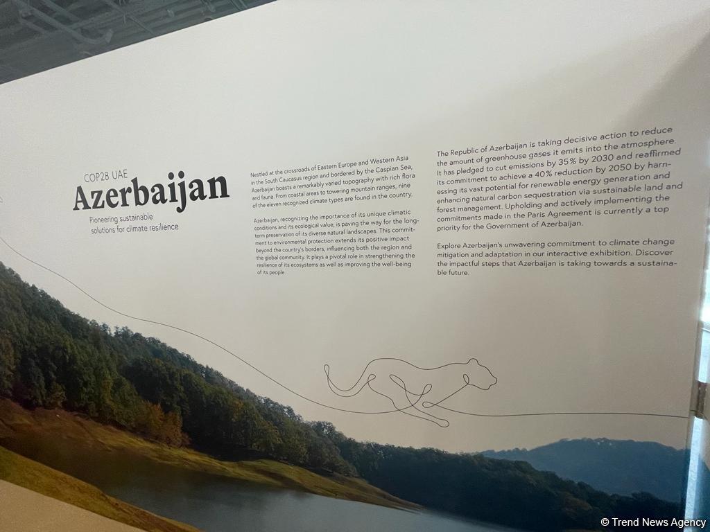 Азербайджан впервые представлен павильоном на COP28
