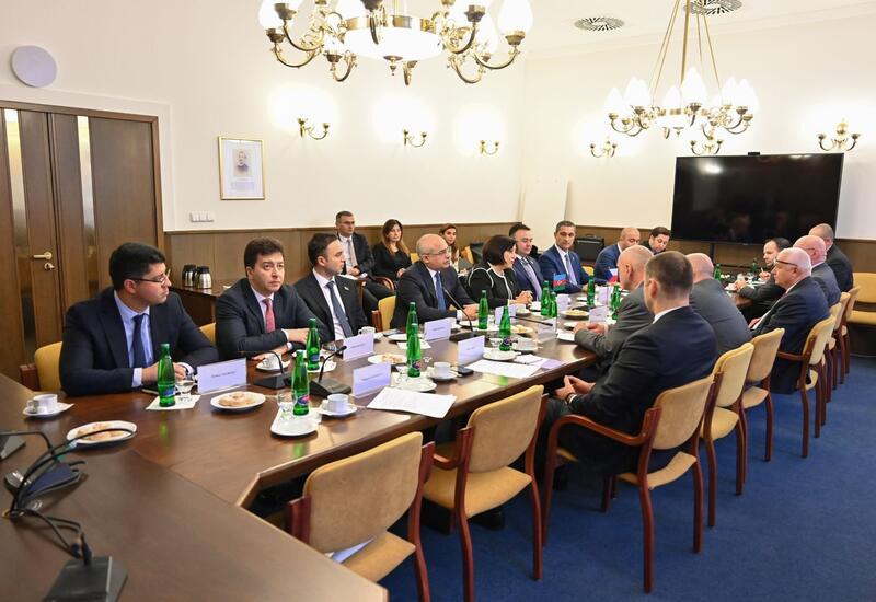 Сахиба Гафарова встретилась с членами чешско-азербайджанской межпарламентской группы дружбы