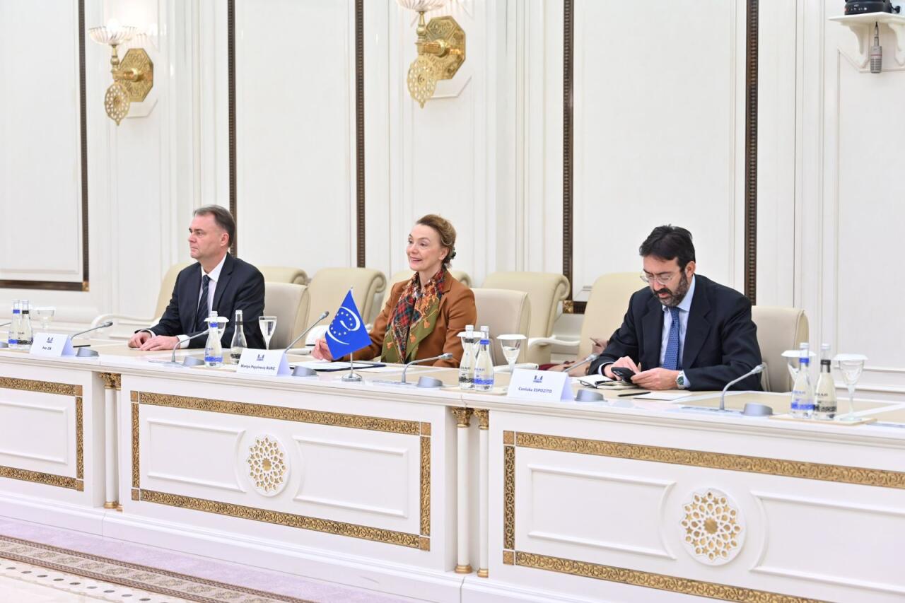 Сахиба Гафарова встретилась с генеральным секретарём Европейского Совета