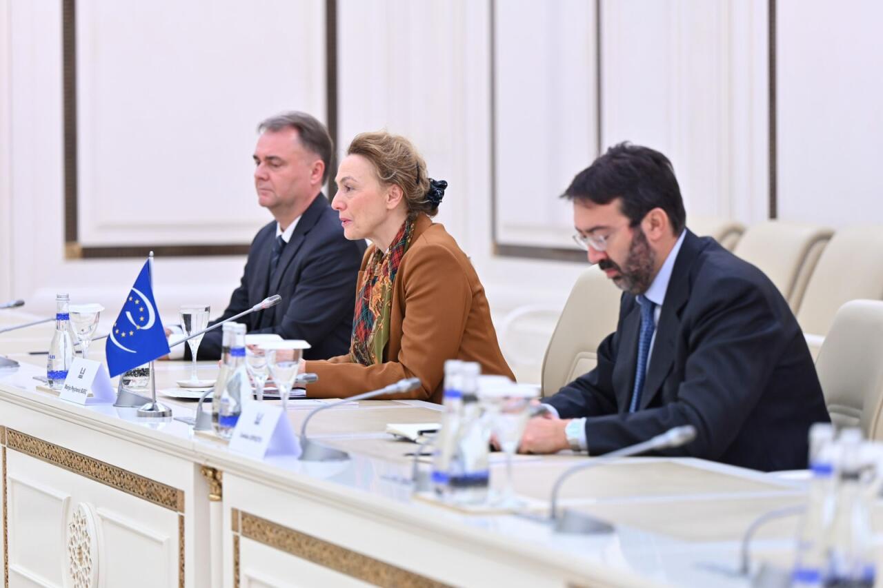 Сахиба Гафарова встретилась с генеральным секретарём Европейского Совета