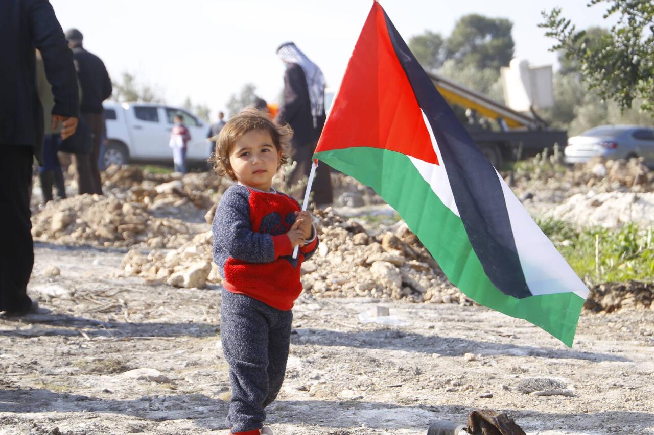 Еще одна страна выступила за признание палестинского государства