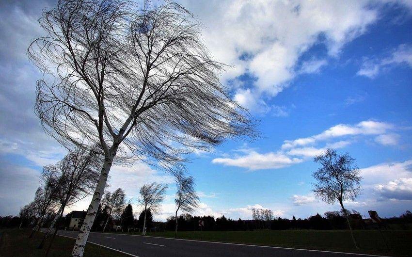 Küləkli hava şəraiti ilə bağlı sarı