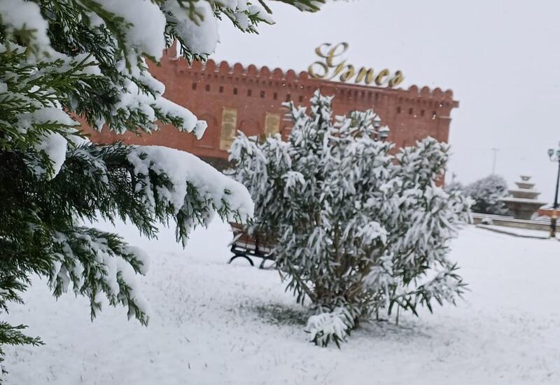 Синоптики о снегопаде в Азербайджане