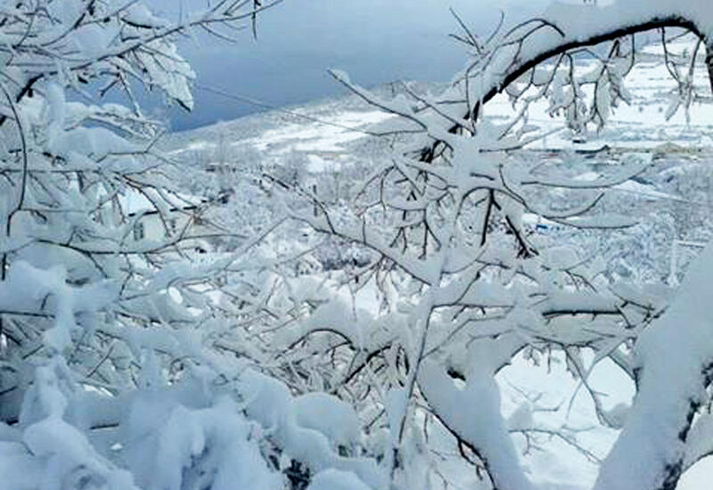 В Лянкяране высота снежного покрова достигла 37 см