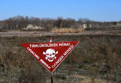 МИД Азербайджана назвал число жертв мин, заложенных Арменией